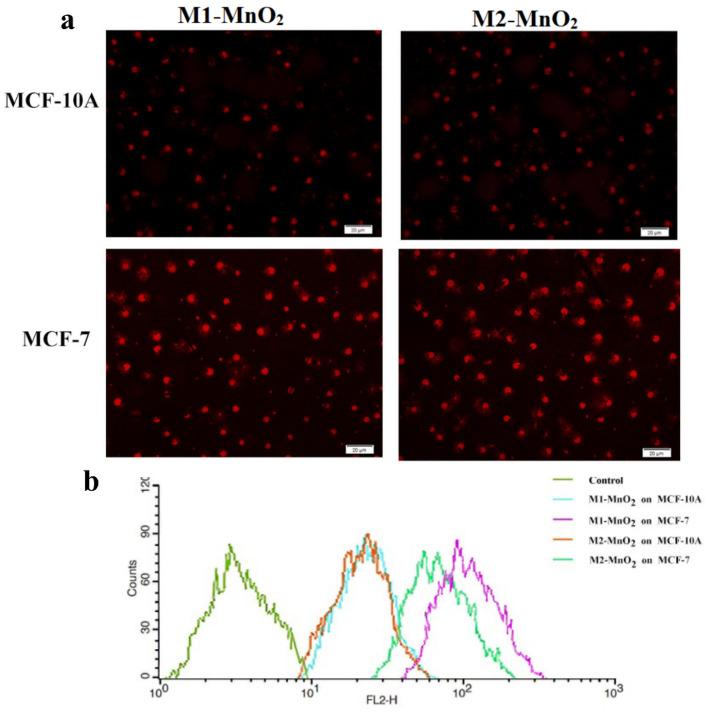 https://cdn.ncbi.nlm.nih.gov/pmc/blobs/8ee4/10480446/53c9c902d078/41598_2023_41598_Fig8_HTML.jpg
