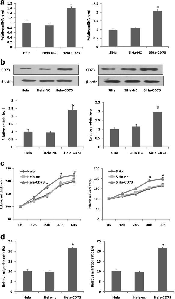 https://cdn.ncbi.nlm.nih.gov/pmc/blobs/8ee4/5311855/1554c2556ca2/12885_2017_3128_Fig1_HTML.jpg