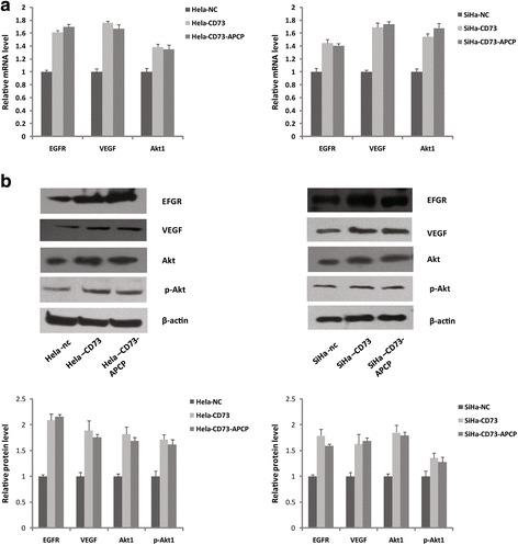 https://cdn.ncbi.nlm.nih.gov/pmc/blobs/8ee4/5311855/2969798116fa/12885_2017_3128_Fig4_HTML.jpg
