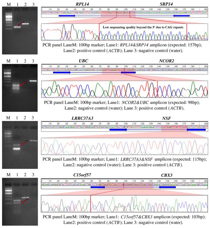https://cdn.ncbi.nlm.nih.gov/pmc/blobs/8ee4/5737728/20691afa3d3f/gkx315fig7.jpg