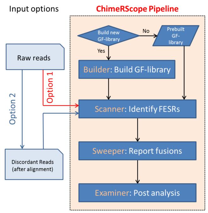 https://cdn.ncbi.nlm.nih.gov/pmc/blobs/8ee4/5737728/4ed02d83fee2/gkx315fig2.jpg