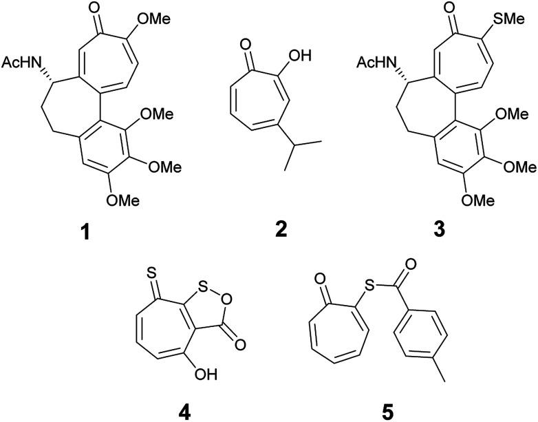 https://cdn.ncbi.nlm.nih.gov/pmc/blobs/8ee4/9085298/5da2c21d23ea/c8ra06297h-f1.jpg