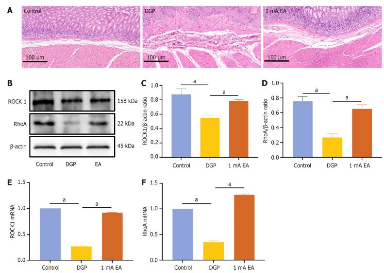 https://cdn.ncbi.nlm.nih.gov/pmc/blobs/8ee5/12362441/883f0ae29b52/wjd-16-8-107779-g003.jpg