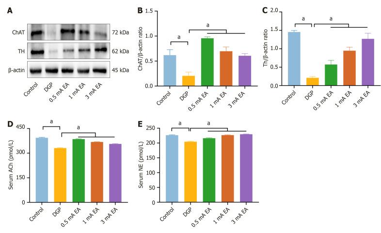 https://cdn.ncbi.nlm.nih.gov/pmc/blobs/8ee5/12362441/b1e41e072c80/wjd-16-8-107779-g006.jpg