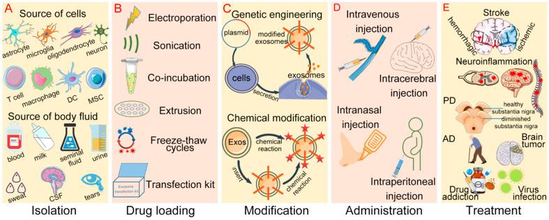 https://cdn.ncbi.nlm.nih.gov/pmc/blobs/8ee5/9609403/81160612ed19/pharmaceutics-14-02252-g004.jpg