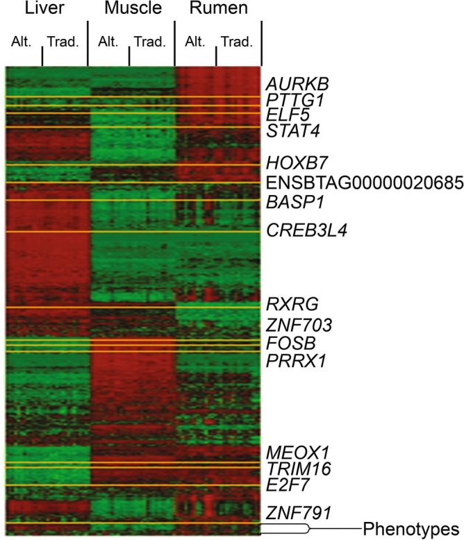 https://cdn.ncbi.nlm.nih.gov/pmc/blobs/8ee6/11176196/52a81bf3dbed/41598_2024_63619_Fig5_HTML.jpg