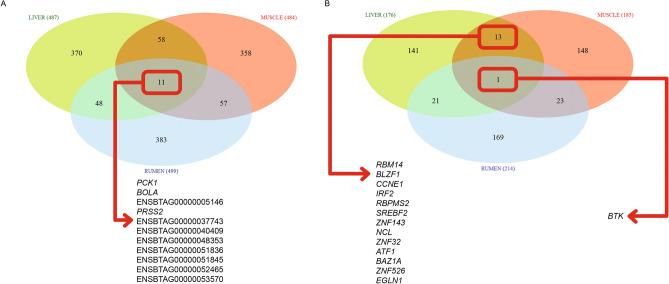 https://cdn.ncbi.nlm.nih.gov/pmc/blobs/8ee6/11176196/7e1c0bb2429b/41598_2024_63619_Fig3_HTML.jpg