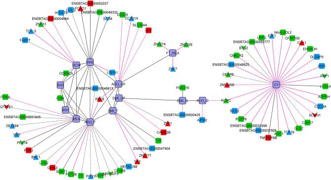 https://cdn.ncbi.nlm.nih.gov/pmc/blobs/8ee6/11176196/98c0036c344a/41598_2024_63619_Fig7_HTML.jpg