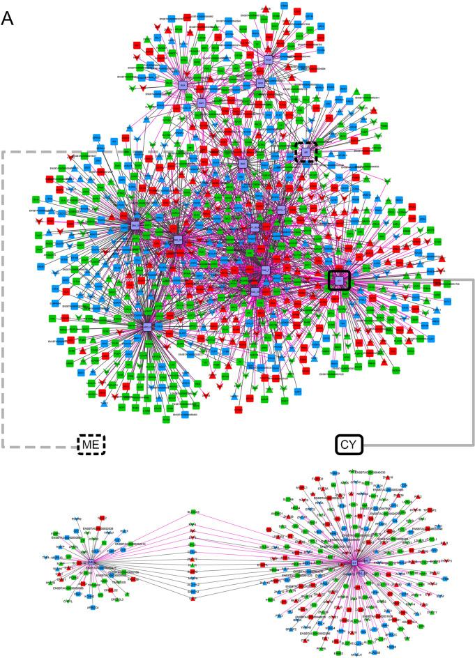 https://cdn.ncbi.nlm.nih.gov/pmc/blobs/8ee6/11176196/997829a6fb6c/41598_2024_63619_Fig6a_HTML.jpg