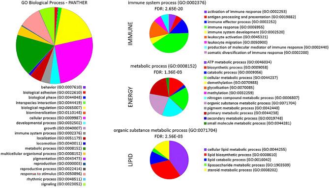 https://cdn.ncbi.nlm.nih.gov/pmc/blobs/8ee6/11176196/d17465760dd6/41598_2024_63619_Fig4_HTML.jpg