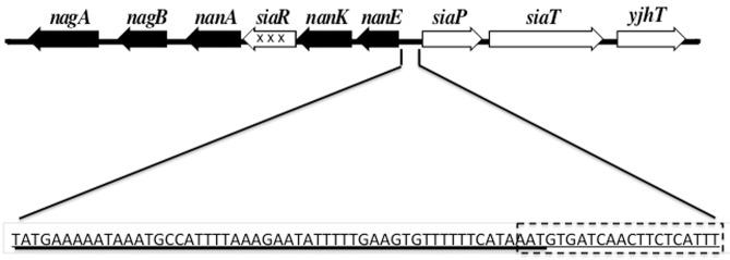 https://cdn.ncbi.nlm.nih.gov/pmc/blobs/8eea/3417534/5350133c670f/fcimb-02-00019-g0001.jpg