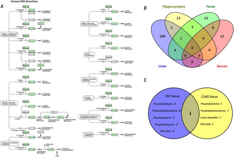 https://cdn.ncbi.nlm.nih.gov/pmc/blobs/8eea/5802540/5e8c28e5a91a/41398_2017_78_Fig3_HTML.jpg