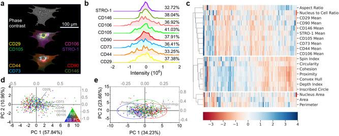 https://cdn.ncbi.nlm.nih.gov/pmc/blobs/8eea/7991643/a724dfcce5ce/41598_2021_85905_Fig3_HTML.jpg