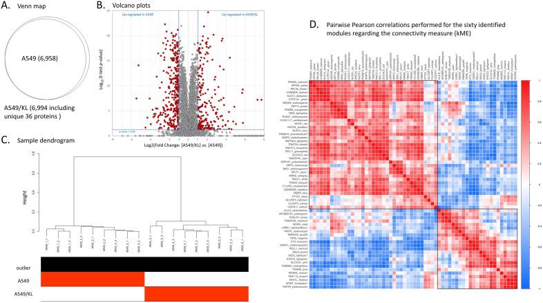 https://cdn.ncbi.nlm.nih.gov/pmc/blobs/8eeb/10808115/69792b1c6916/41598_2024_52616_Fig2_HTML.jpg