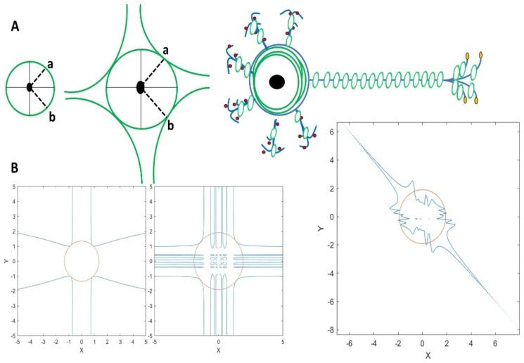 https://cdn.ncbi.nlm.nih.gov/pmc/blobs/8eeb/12286027/c9115bca820d/mps-08-00076-g003.jpg