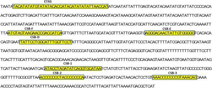 https://cdn.ncbi.nlm.nih.gov/pmc/blobs/8eee/11180200/90d88bcc4db1/41598_2024_64791_Fig3_HTML.jpg