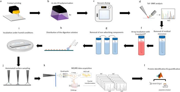 https://cdn.ncbi.nlm.nih.gov/pmc/blobs/8eee/12199226/2a9169400b88/ac5c01636_0002.jpg