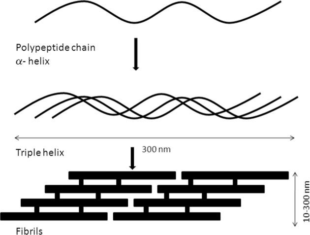 https://cdn.ncbi.nlm.nih.gov/pmc/blobs/8eee/7248025/2779129823d3/10856_2020_6390_Fig1_HTML.jpg
