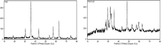 https://cdn.ncbi.nlm.nih.gov/pmc/blobs/8ef0/11300588/38ae527dcab4/41598_2024_68658_Fig1_HTML.jpg