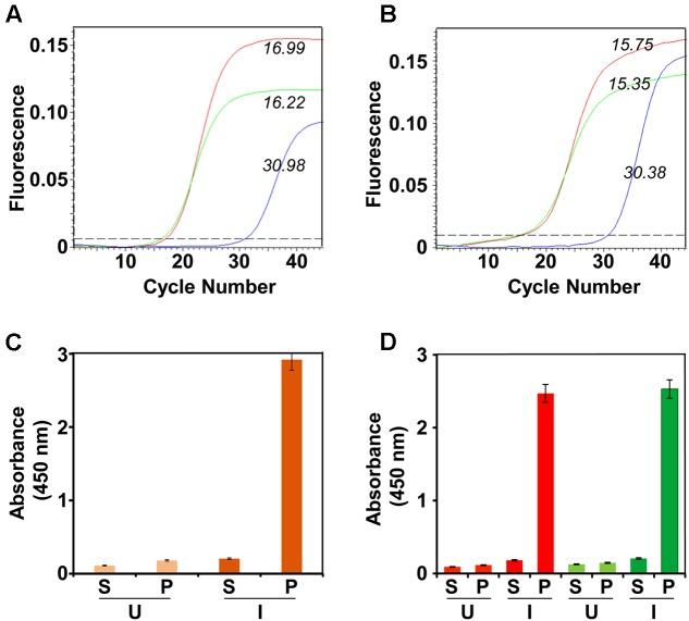 https://cdn.ncbi.nlm.nih.gov/pmc/blobs/8ef0/5768101/44ddc69f0d67/fmicb-08-02644-g001.jpg
