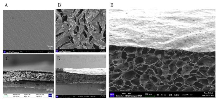 https://cdn.ncbi.nlm.nih.gov/pmc/blobs/8ef0/7182886/af14c5c2c82b/polymers-12-00535-g002.jpg