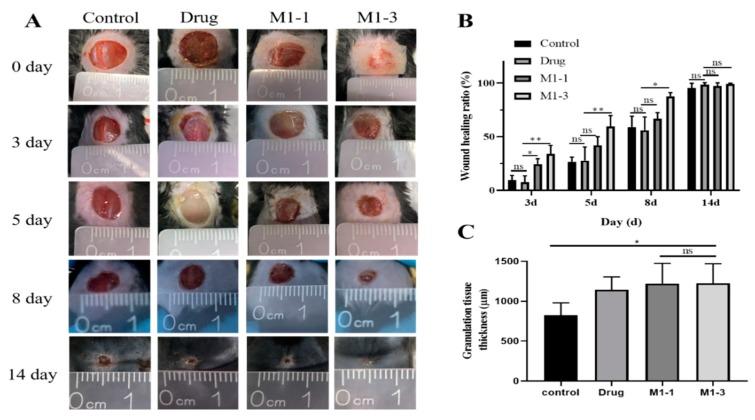 https://cdn.ncbi.nlm.nih.gov/pmc/blobs/8ef0/7182886/ce18ef49814e/polymers-12-00535-g006.jpg