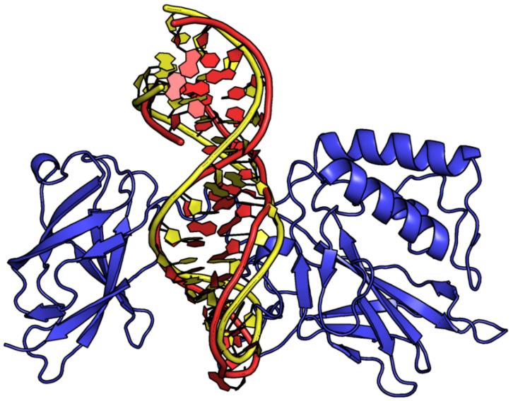 https://cdn.ncbi.nlm.nih.gov/pmc/blobs/8ef1/10671752/4455510c17c1/ijms-24-16318-g010.jpg