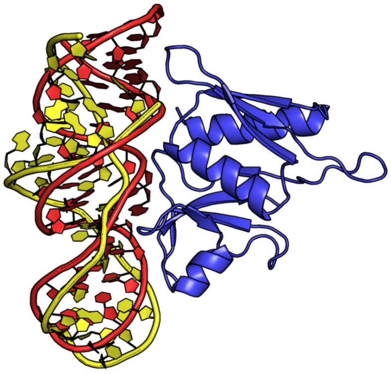 https://cdn.ncbi.nlm.nih.gov/pmc/blobs/8ef1/10671752/9f7865e72225/ijms-24-16318-g009.jpg