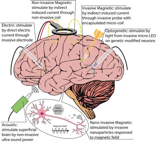 https://cdn.ncbi.nlm.nih.gov/pmc/blobs/8ef8/11633526/2065114ac7db/ADVS-11-2404254-g007.jpg