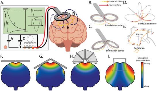 https://cdn.ncbi.nlm.nih.gov/pmc/blobs/8ef8/11633526/c78621fe63bb/ADVS-11-2404254-g002.jpg
