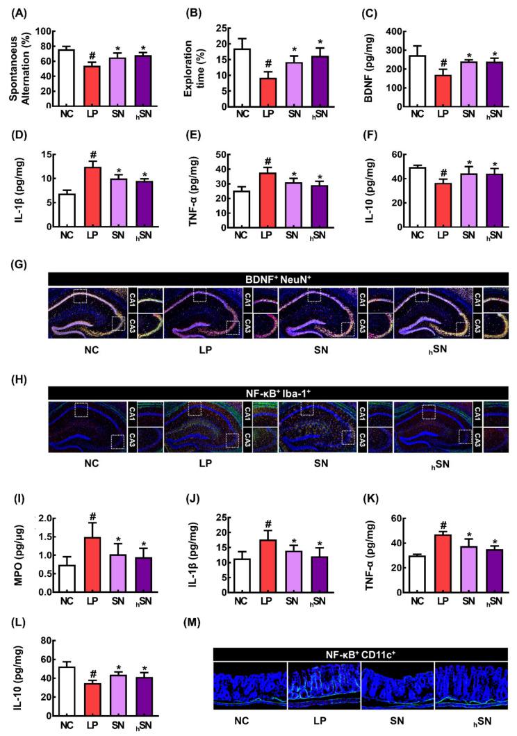 https://cdn.ncbi.nlm.nih.gov/pmc/blobs/8ef9/11357477/6e4c15b9be40/nutrients-16-02736-g005.jpg