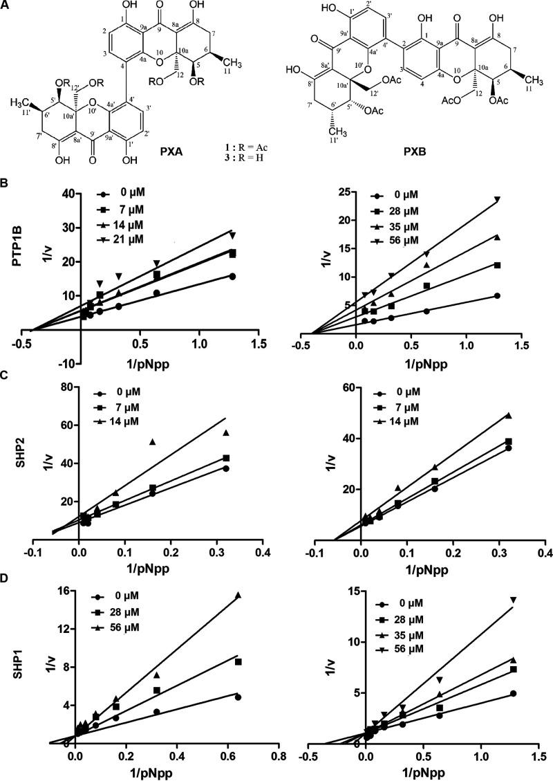 https://cdn.ncbi.nlm.nih.gov/pmc/blobs/8efa/7557999/2c4bb408304c/ao0c03315_0002.jpg