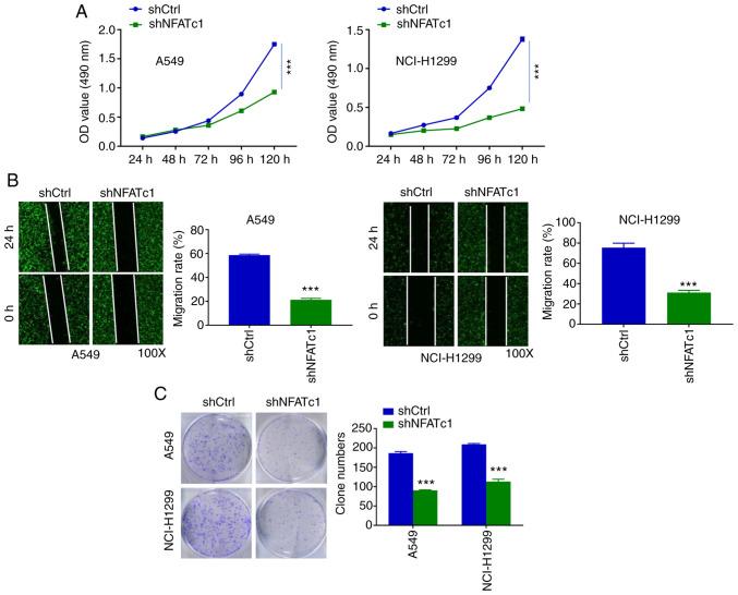 https://cdn.ncbi.nlm.nih.gov/pmc/blobs/8efa/9780516/eb006613b2aa/etm-25-01-11748-g01.jpg