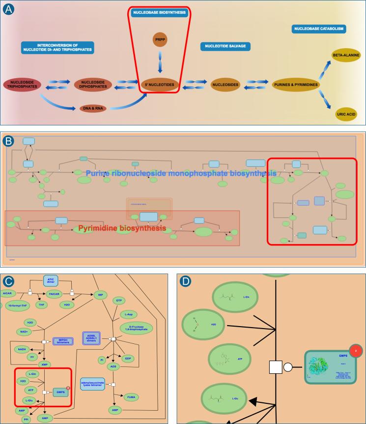 https://cdn.ncbi.nlm.nih.gov/pmc/blobs/8eff/5753187/fb793b163cff/gkx1132fig2.jpg