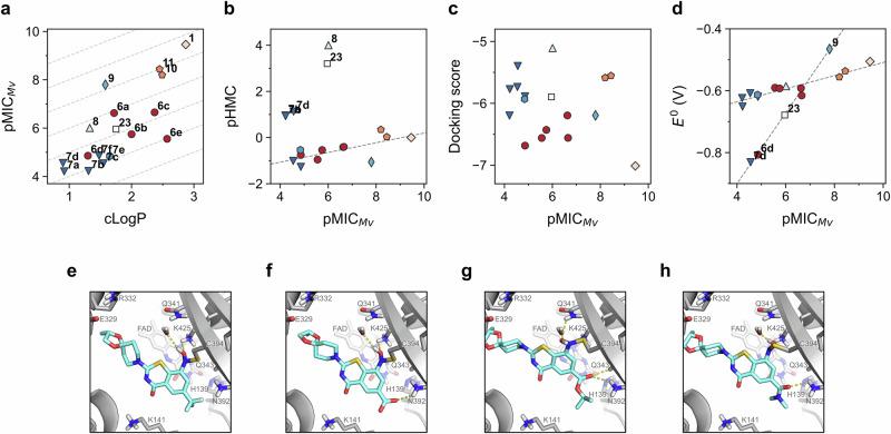 https://cdn.ncbi.nlm.nih.gov/pmc/blobs/8f01/11227536/2fa24cb97918/42004_2024_1235_Fig7_HTML.jpg