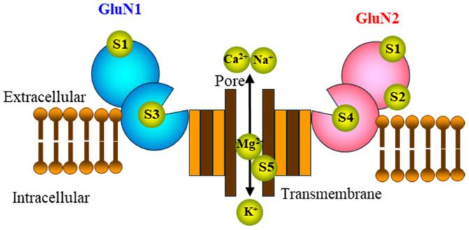 https://cdn.ncbi.nlm.nih.gov/pmc/blobs/8f01/11430065/fde67b20bfdf/biomolecules-14-01128-g001.jpg