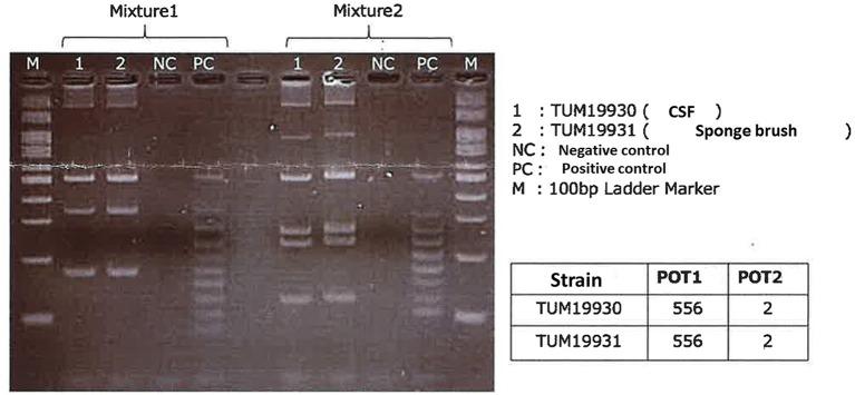 https://cdn.ncbi.nlm.nih.gov/pmc/blobs/8f03/8495192/a71e793f7a31/fped-09-725940-g0002.jpg