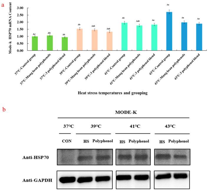 https://cdn.ncbi.nlm.nih.gov/pmc/blobs/8f05/11722878/b82210dc32e8/nutrients-17-00088-g001.jpg