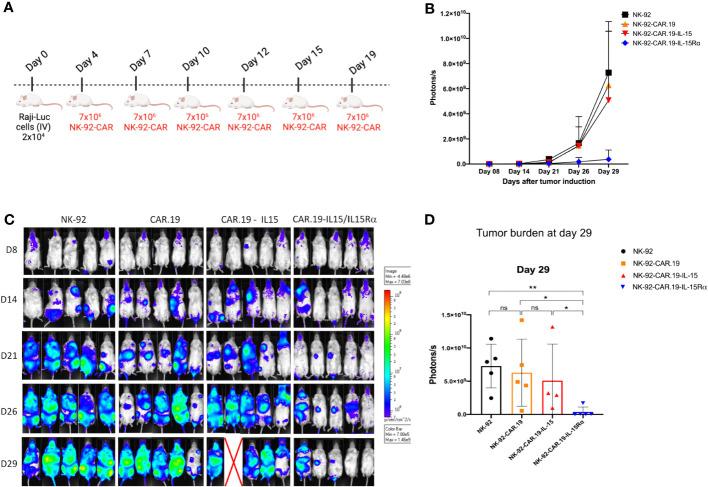 https://cdn.ncbi.nlm.nih.gov/pmc/blobs/8f08/10561086/9776d32bbf5a/fimmu-14-1226518-g008.jpg