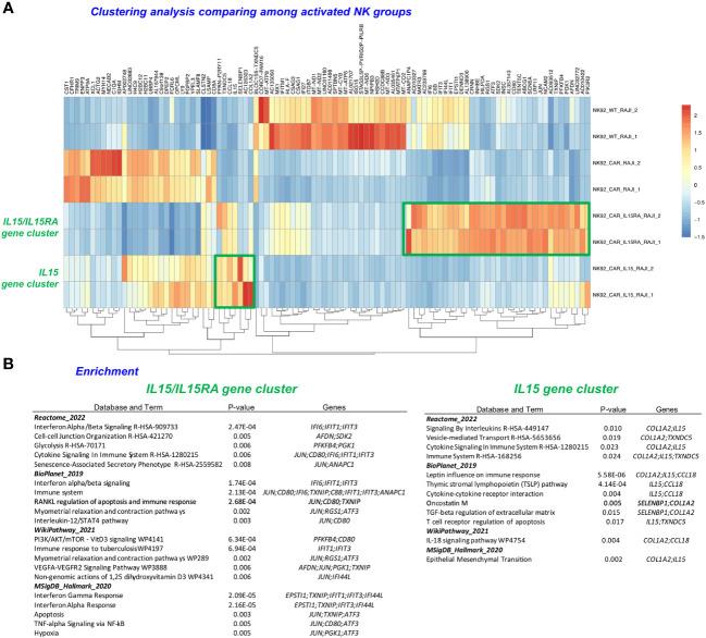 https://cdn.ncbi.nlm.nih.gov/pmc/blobs/8f08/10561086/e10e05bc27f4/fimmu-14-1226518-g006.jpg