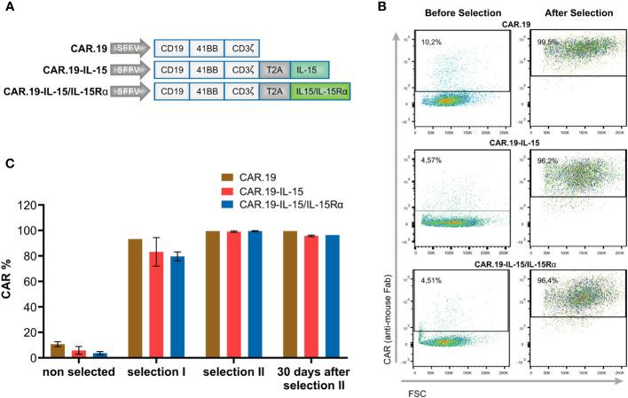 https://cdn.ncbi.nlm.nih.gov/pmc/blobs/8f08/10561086/e4106972cd6c/fimmu-14-1226518-g001.jpg