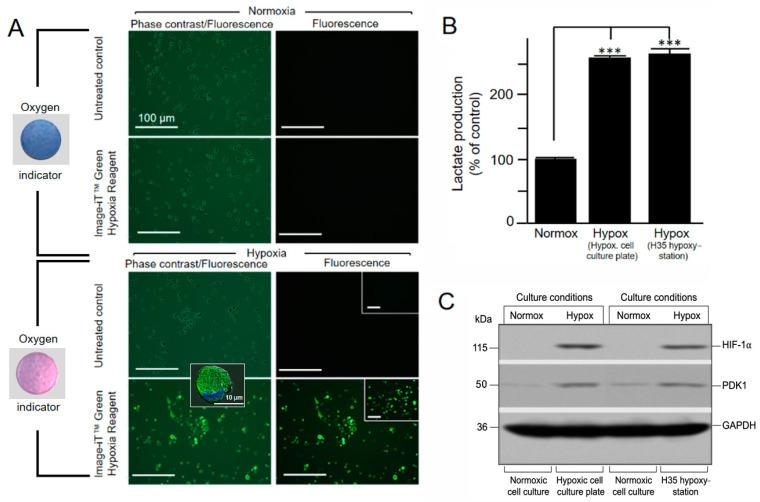 https://cdn.ncbi.nlm.nih.gov/pmc/blobs/8f08/8167595/66183148757c/mps-04-00025-g002.jpg