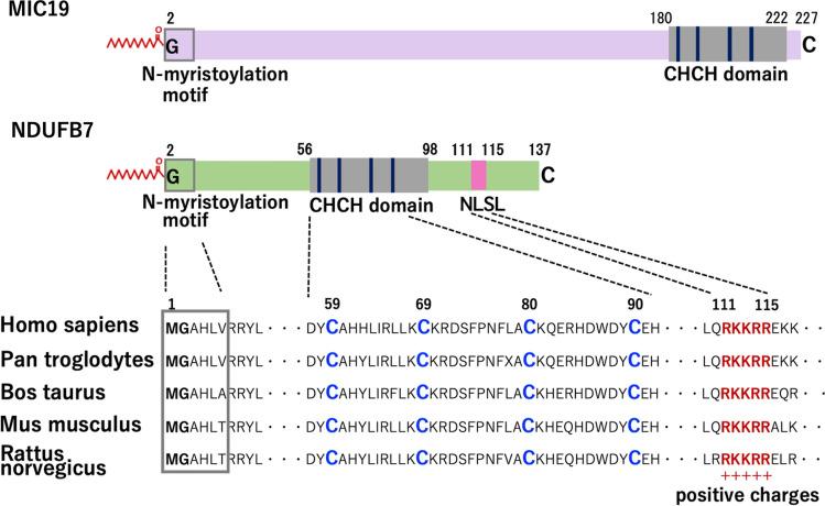 https://cdn.ncbi.nlm.nih.gov/pmc/blobs/8f0c/10752898/122a86d91ff7/41598_2023_50390_Fig4_HTML.jpg