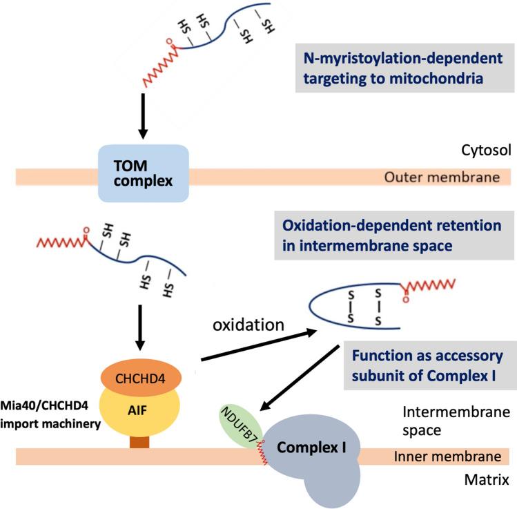 https://cdn.ncbi.nlm.nih.gov/pmc/blobs/8f0c/10752898/a2e24cea8089/41598_2023_50390_Fig7_HTML.jpg