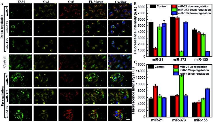 https://cdn.ncbi.nlm.nih.gov/pmc/blobs/8f0c/6237120/a482a11ffd99/c8sc02858c-f5.jpg
