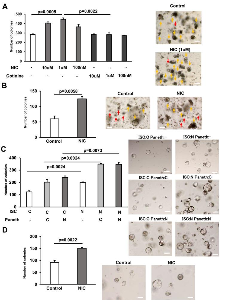 https://cdn.ncbi.nlm.nih.gov/pmc/blobs/8f0d/11698494/15be47f4a0ca/elife-95267-fig2.jpg