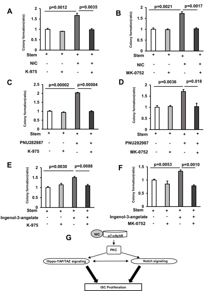 https://cdn.ncbi.nlm.nih.gov/pmc/blobs/8f0d/11698494/1ca60d7cf9e5/elife-95267-fig5.jpg