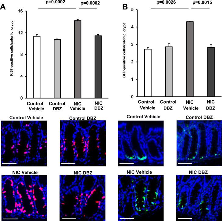 https://cdn.ncbi.nlm.nih.gov/pmc/blobs/8f0d/11698494/744392c555f3/elife-95267-fig6-figsupp1.jpg