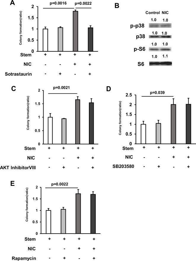 https://cdn.ncbi.nlm.nih.gov/pmc/blobs/8f0d/11698494/7a8c14736ed4/elife-95267-fig4-figsupp1.jpg