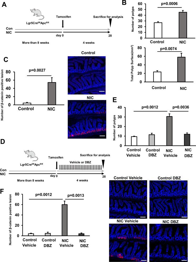 https://cdn.ncbi.nlm.nih.gov/pmc/blobs/8f0d/11698494/875765674cc6/elife-95267-fig7.jpg